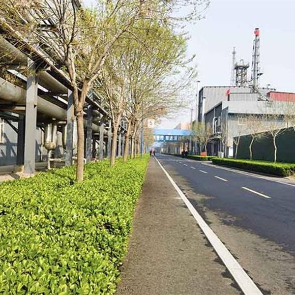 FACTORY VIEW