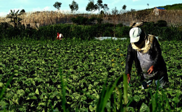 What is Agricultural Entrepreneurship