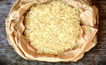 My country will strengthen food security system and capacity building