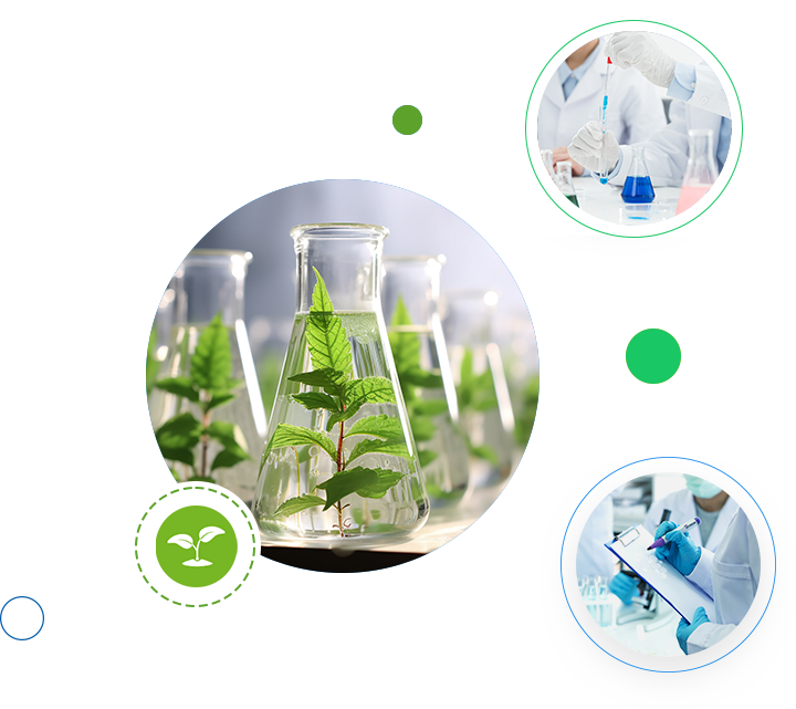 What are the most commonly used herbicides?